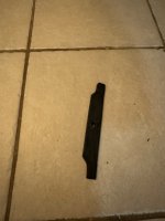 IMG_3395.jpeg