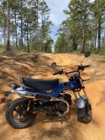 IMG_7081.jpeg