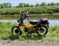IMG_9635.jpeg
