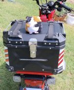 IMG20250629122551~2.jpg