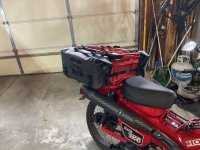 IMG_0506.jpeg