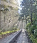 IMG_0053.jpeg IMG_0053.jpeg