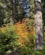 IMG_0056.jpeg IMG_0056.jpeg