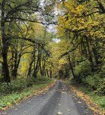 IMG_0097.jpeg IMG_0097.jpeg