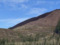 IMG_0066.jpeg IMG_0066.jpeg