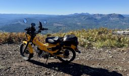 IMG_0038.jpeg IMG_0038.jpeg