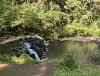 IMG_9645.jpeg IMG_9645.jpeg