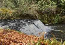 IMG_0151.jpeg IMG_0151.jpeg