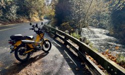 IMG_0156.jpeg IMG_0156.jpeg