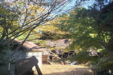 20251117_120019.jpg 20251117_120019.jpg