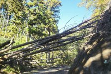 20251117_121208.jpg 20251117_121208.jpg