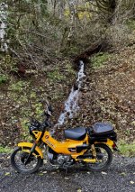 IMG_0176.jpeg IMG_0176.jpeg