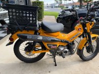 IMG_5982.jpeg IMG_5982.jpeg