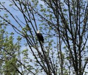 IMG_0862.jpeg