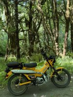 IMG_0913.jpeg