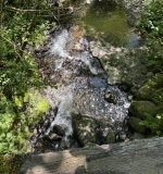 IMG_0917.jpeg