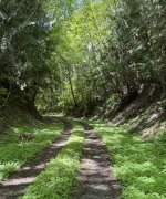 IMG_0923.jpeg