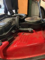 IMG_7978.jpeg