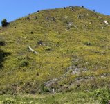 IMG_1191.jpeg