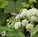 IMG_1149.jpeg
