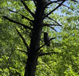 IMG_1020.jpeg