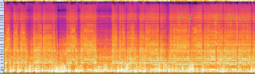 previous ride spectrogram.png