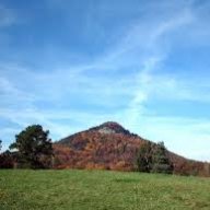 Simba in North Georgia