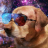 Dohz
